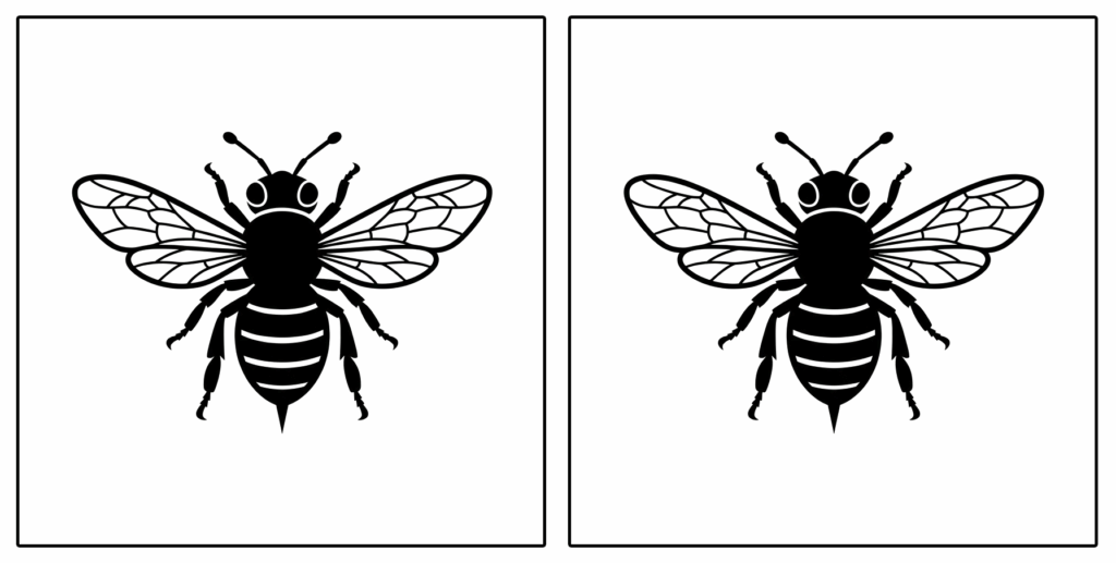tecica dello stereogramma per trova le differenze